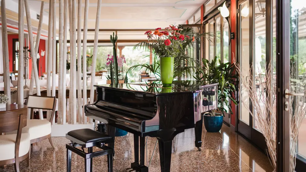 Hotel Villa Madrina Garda Piano Bar [2]