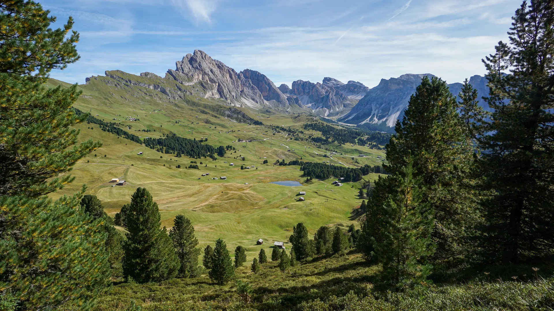 Hero Banner Background Video or Image