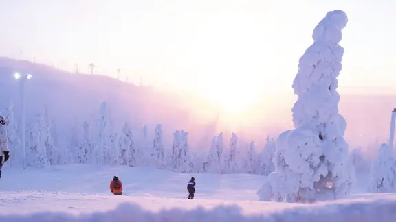 A pair of distant skiers enjoy sliding down a vast slope, surrounded by trees as they take in the bright sunshine.
