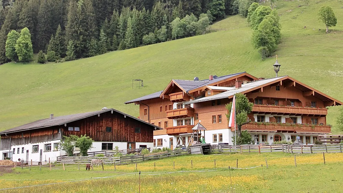 Hotel Hammerhof Filzmoos Hotel Landscape