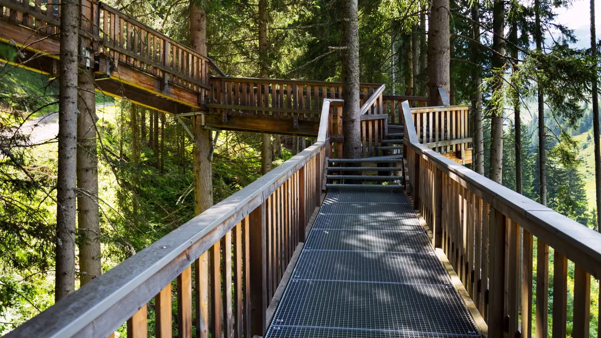 Saalbach Hinterglemm Treetop Walk