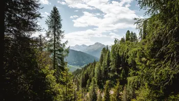 The Davos Schatzalp view captures a stunning alpine panorama of lush green slopes, charming mountain chalets, and majestic snow-capped peaks under a clear blue sky.