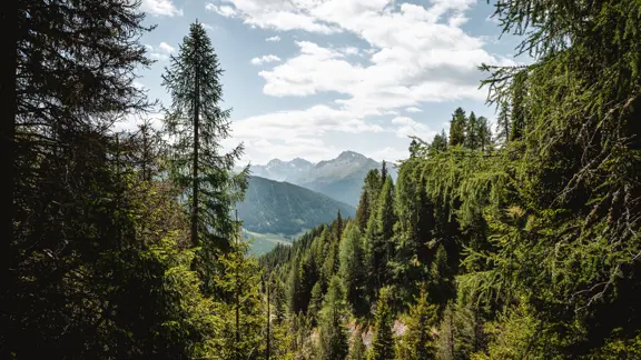 The Davos Schatzalp view captures a stunning alpine panorama of lush green slopes, charming mountain chalets, and majestic snow-capped peaks under a clear blue sky.
