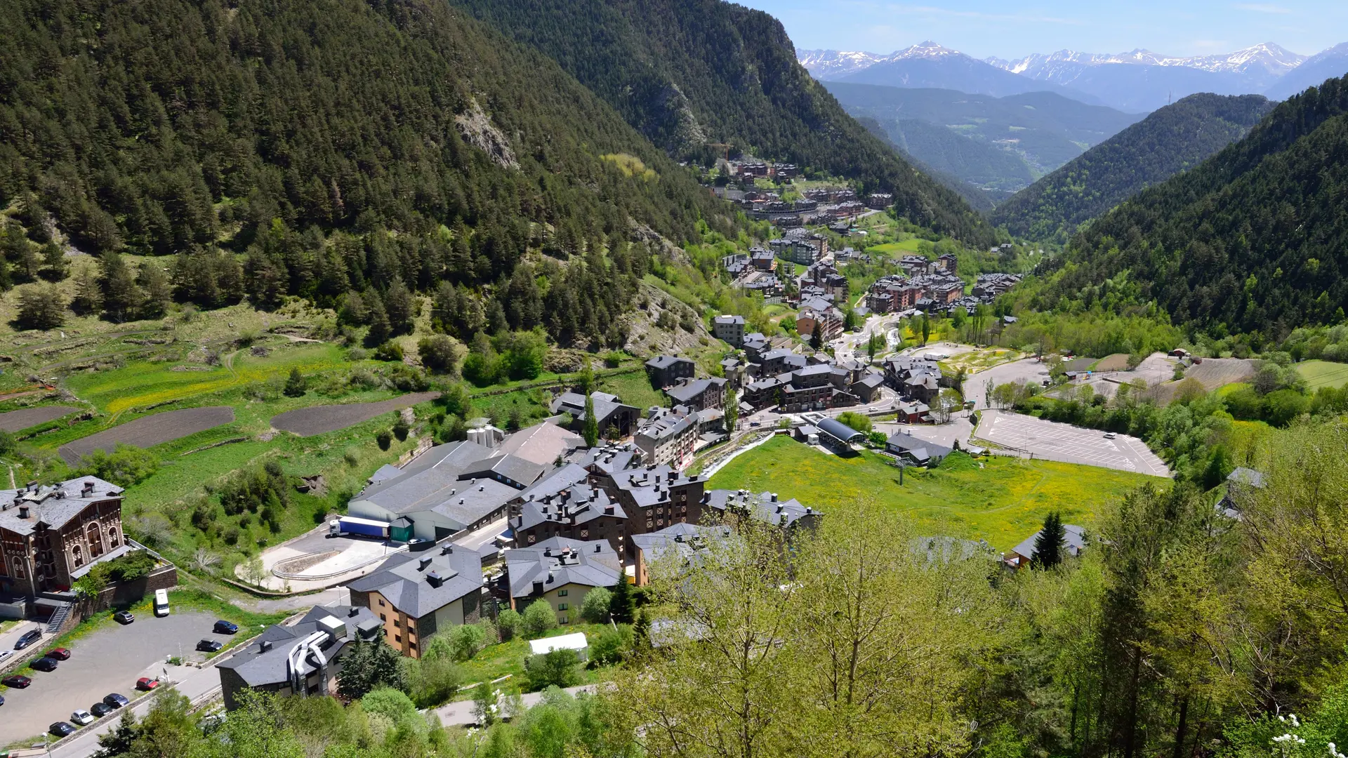 Hero Banner Background Video or Image