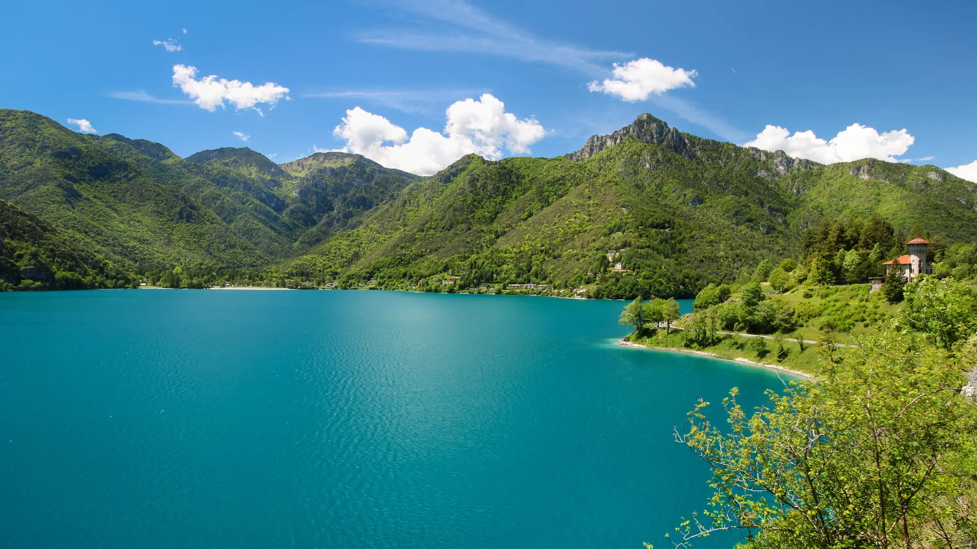 Hero Banner Background Video or Image