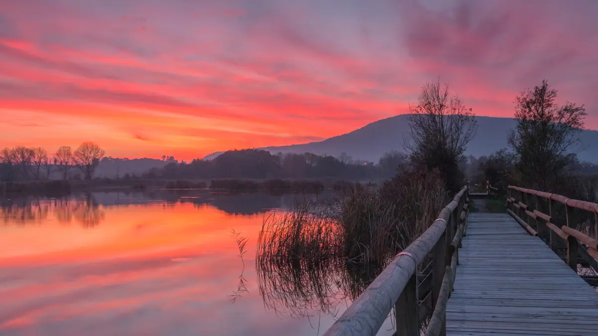 Lake Iseo Torbiere Del Sebino Nature Reserve