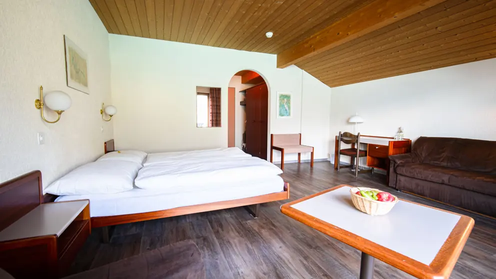 Seehotel Bonigen Interlaken Example Lake View Double Room [4]