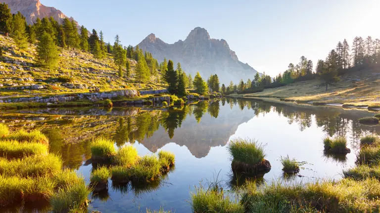 A scenic view of a landscape