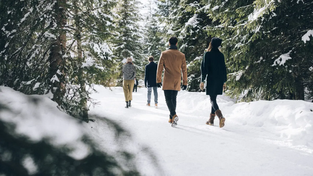 Lech Zurs Arlberg Ski Austria Winter Walking C Lech Zurs Tourism Dietmar Hurnaus 2