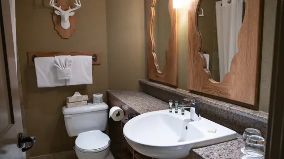 Standard bathroom