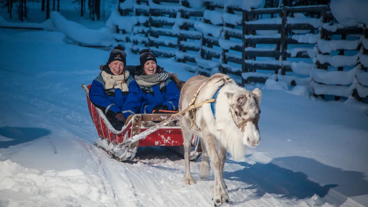 Yllas Finland Reindeer Ride Safartica