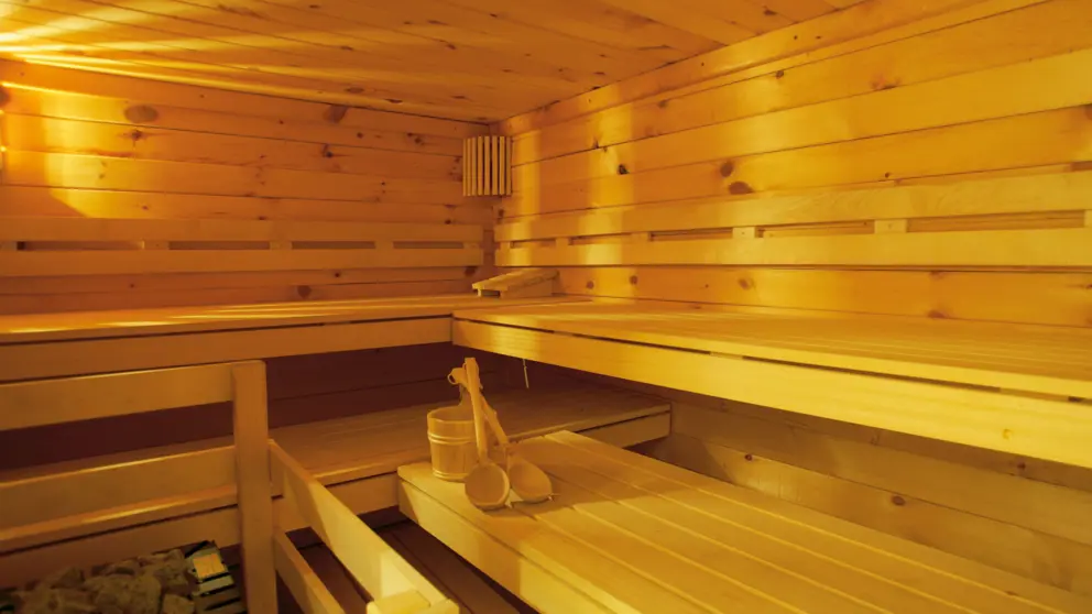 Hotel Butterfly Zermatt Sauna [7]