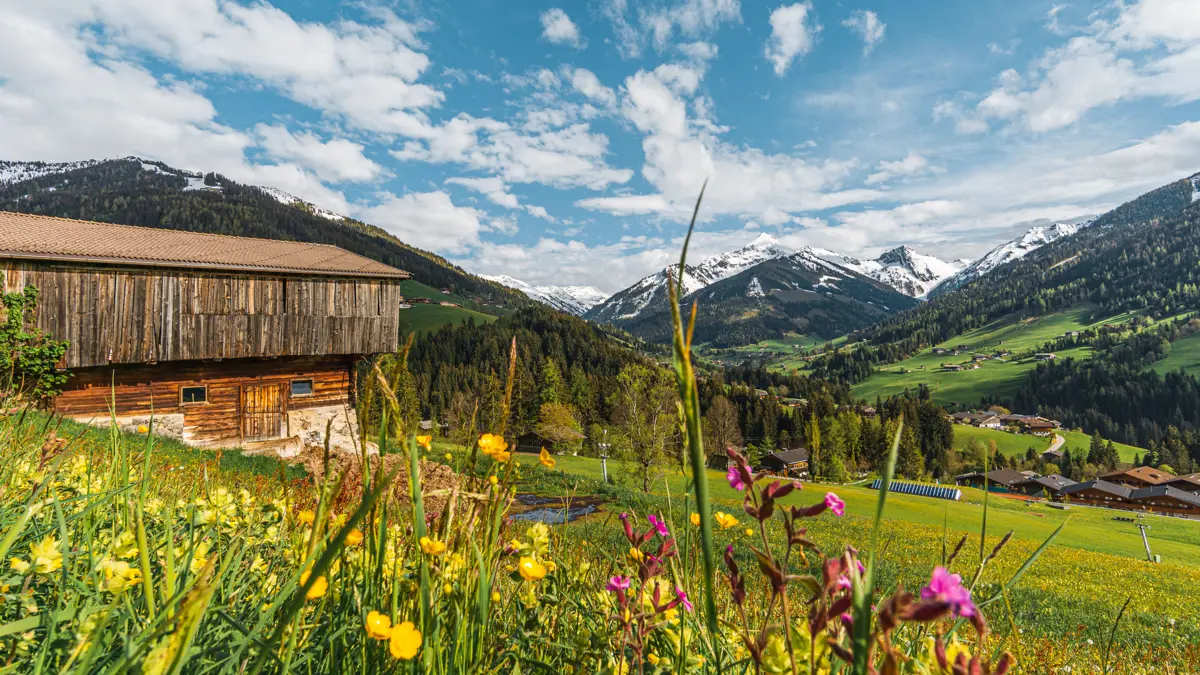 Alpbach summer landscape