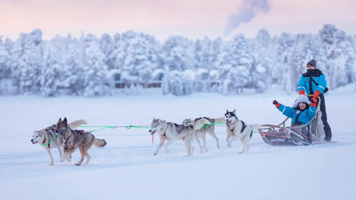 Wilderness Hotels Saariselka Husky Safari