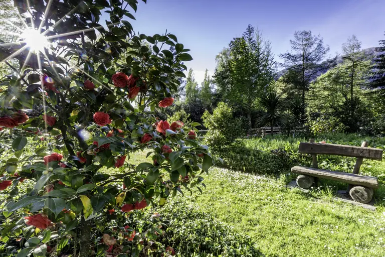 A scenic view of a landscape
