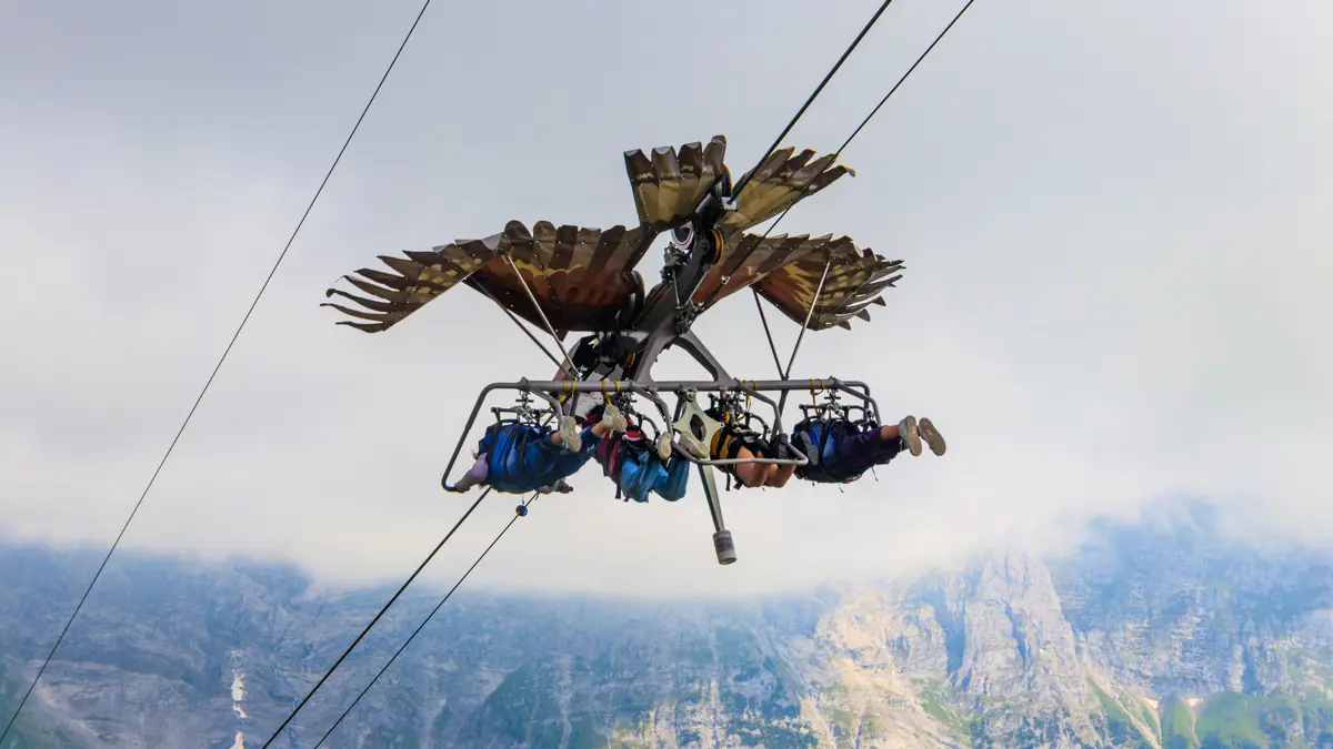 Ziplining