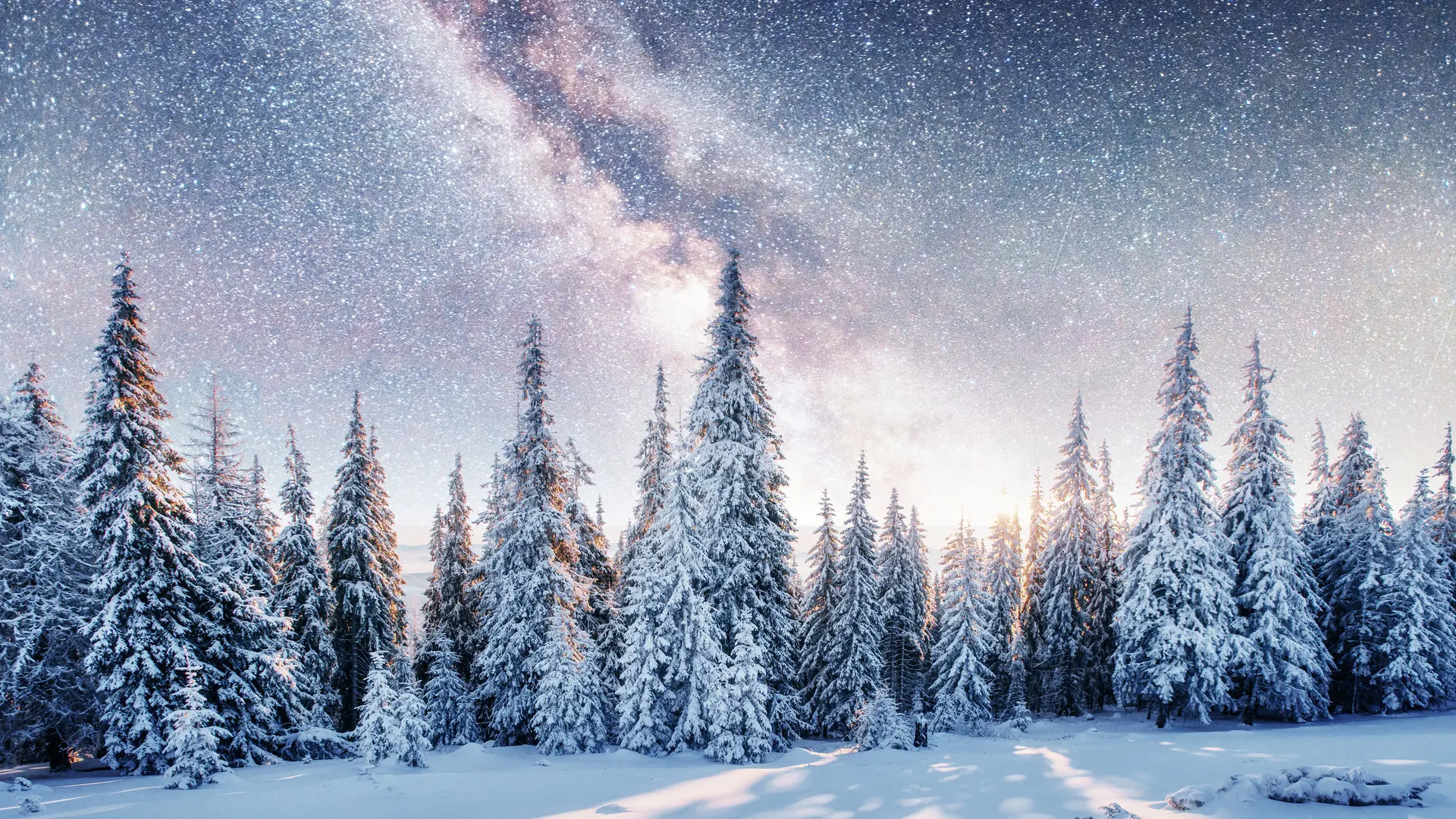 Hero Banner Background Video or Image