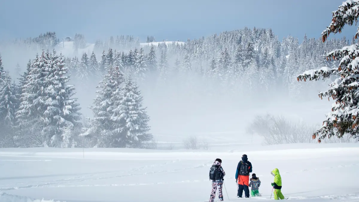 Avoriaz Portes Du Soleil Snowshoe Avoriaz 1800