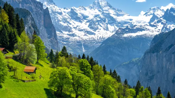 Wengen mountain landscape featuring lush green trees in the foreground and dramatic alpine peaks rising in the background under a clear sky.
