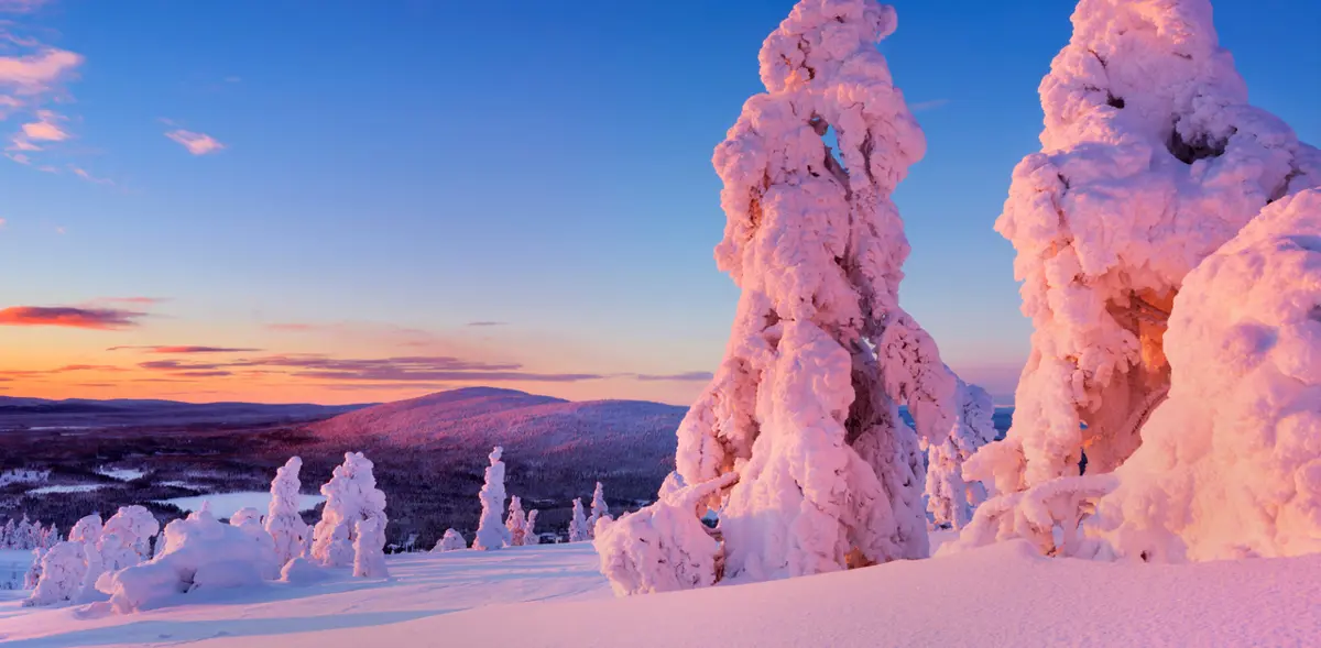 Lapland Flash Sale Hero