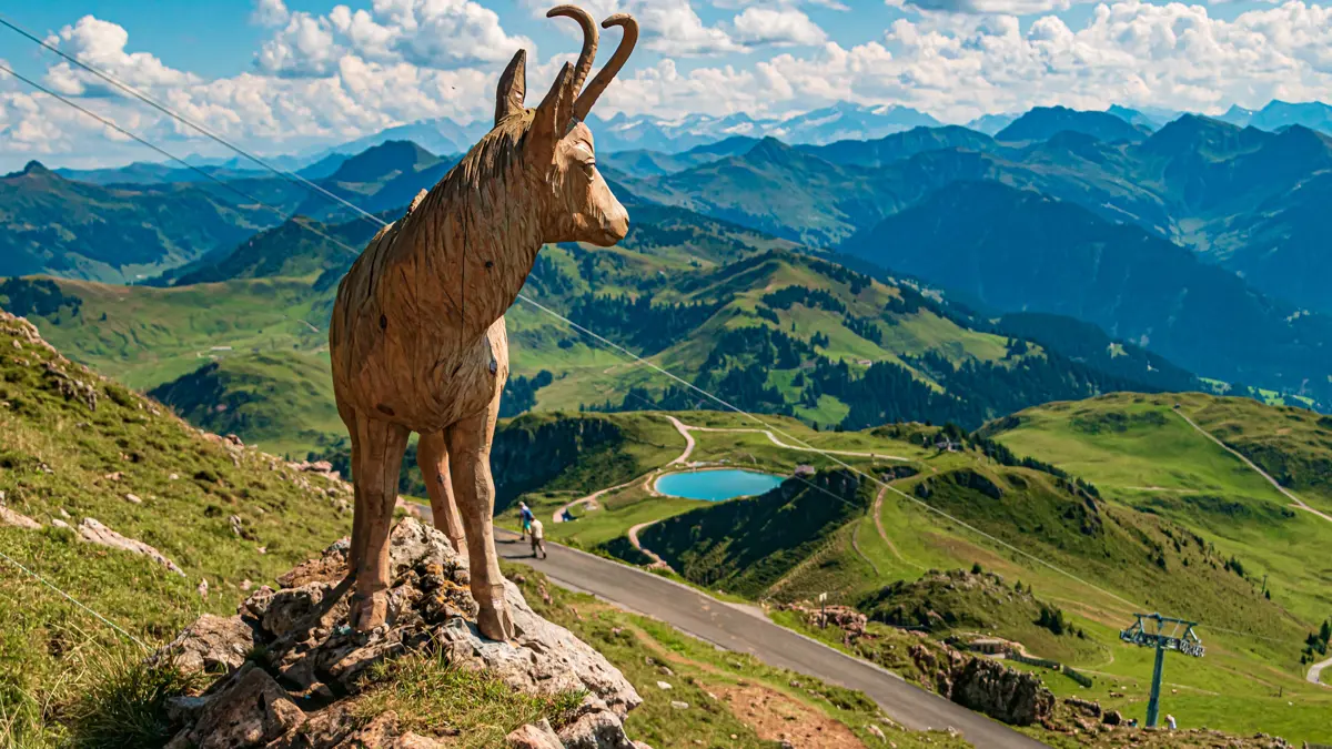 Kitzbüheler Horn, Kitzbühel, Tyrol, Austria