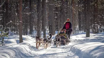 Levi Lapland Husky Sledding