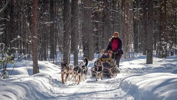 Levi Lapland Husky Sledding