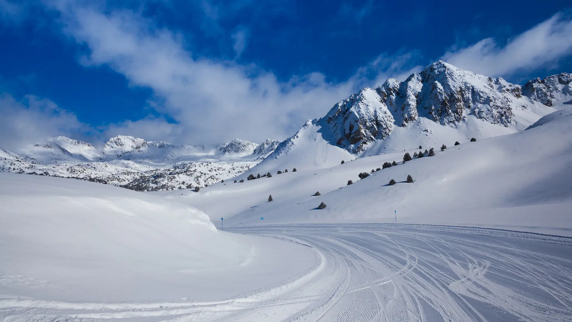 Hero Banner Background Video or Image