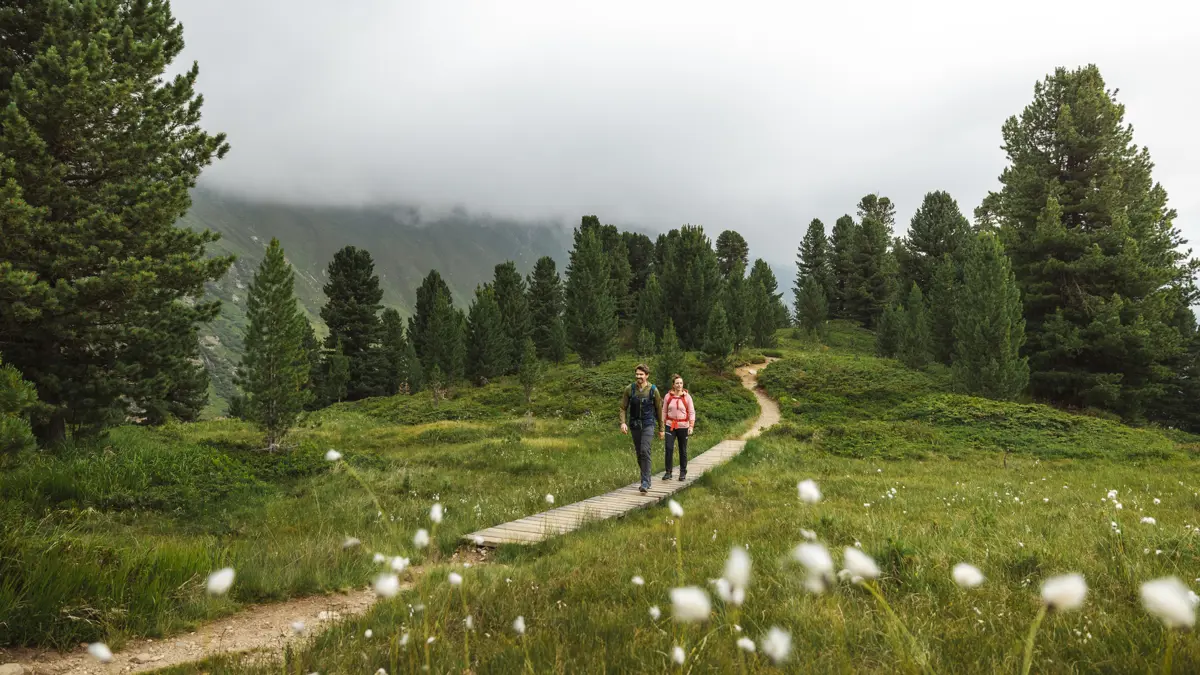 Obergurgl Walking Through Trees