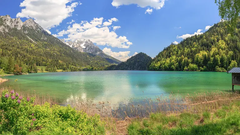 A scenic view of a landscape