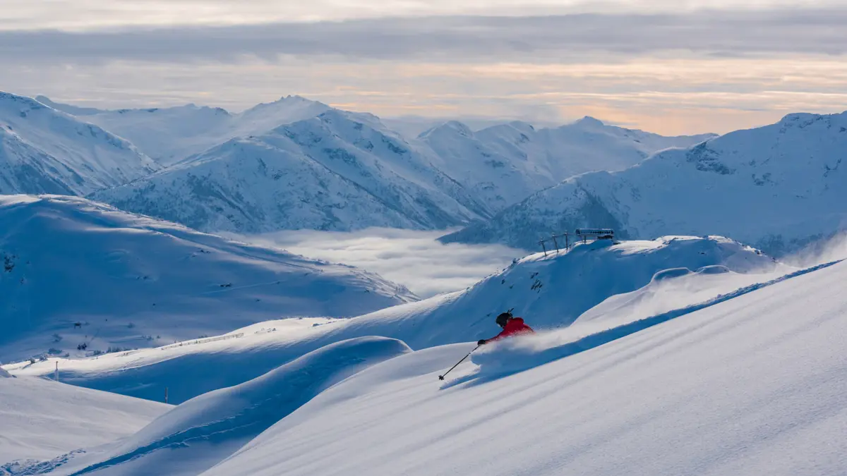 Skier