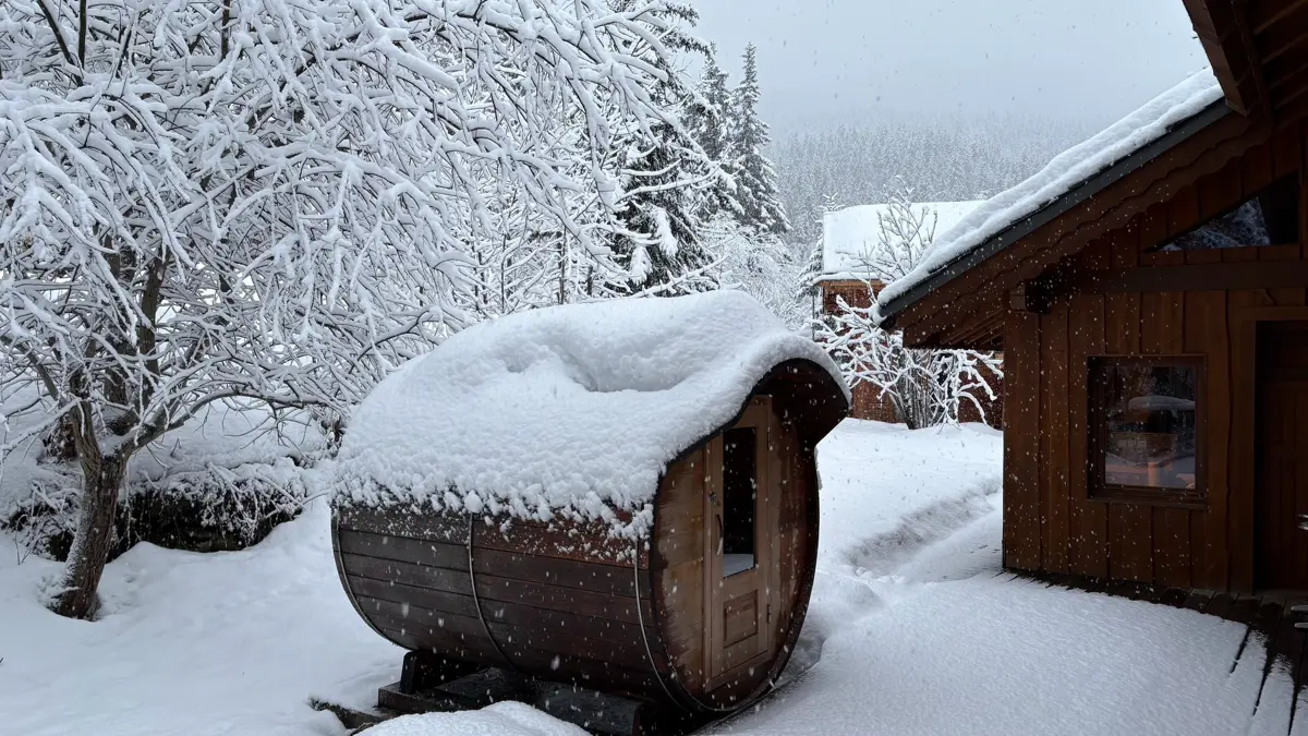 Chalet Jardin Alpin La Tania Exterior Sauna Snowy