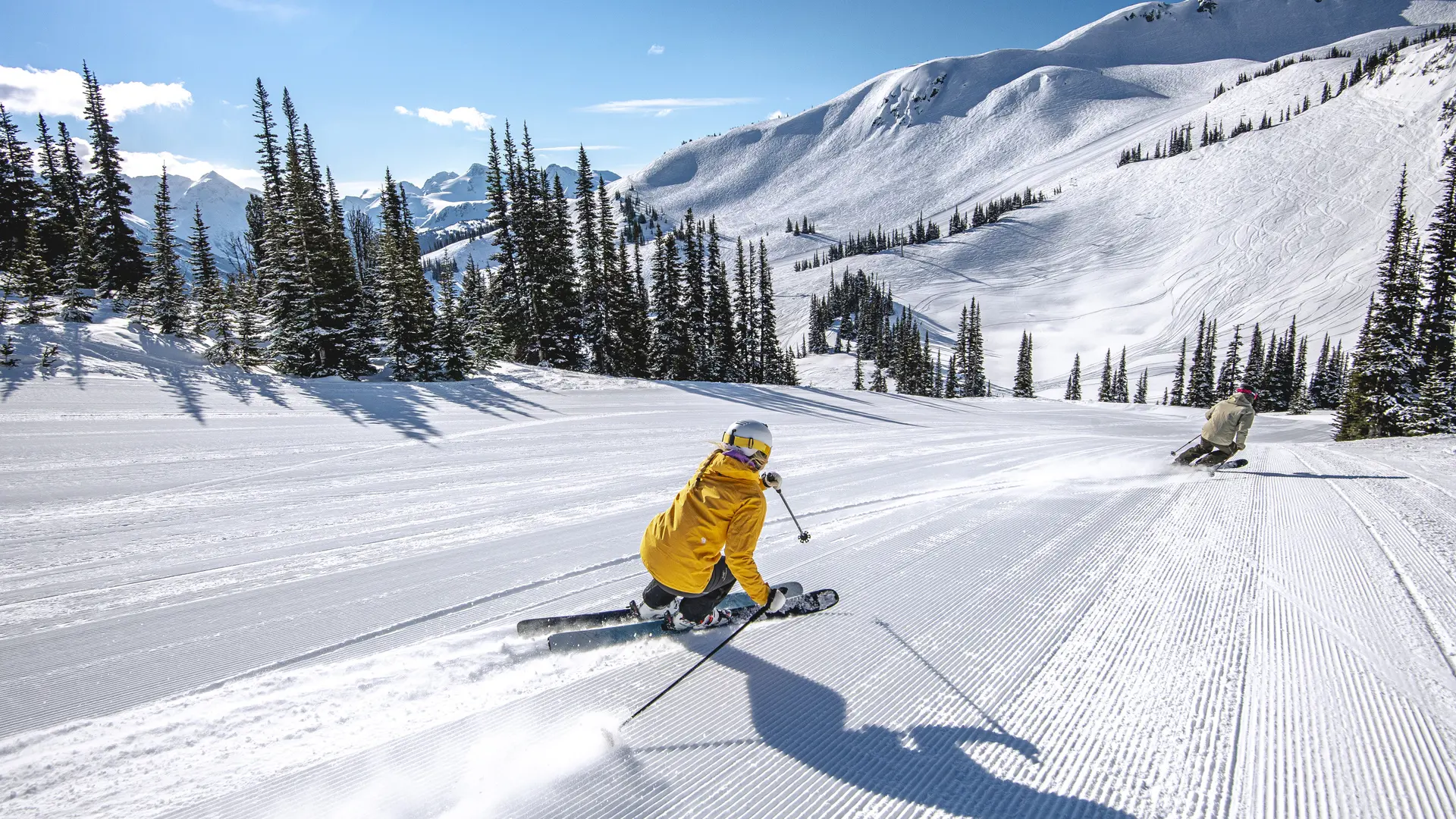 Hero Banner Background Video or Image