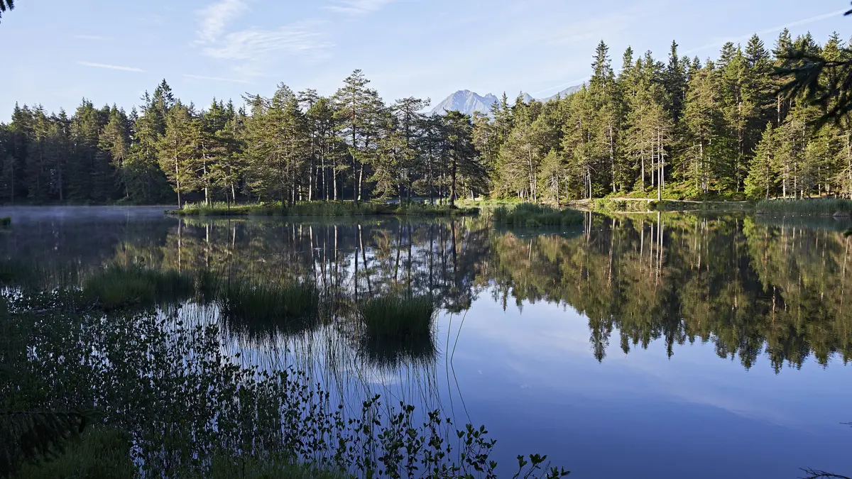 Seefeld Morning At Möserer See
