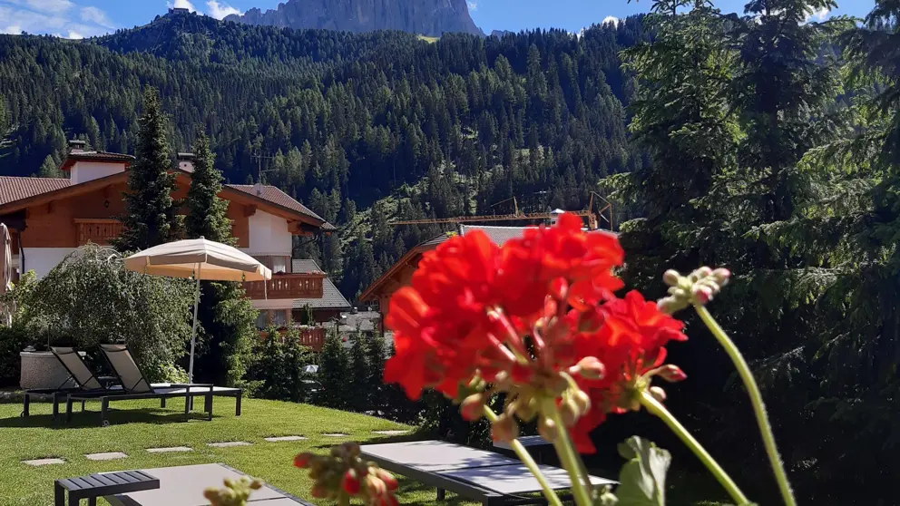 Dolomites, Selva, Mountain Home Garni Villa Anna, Gardens [7]