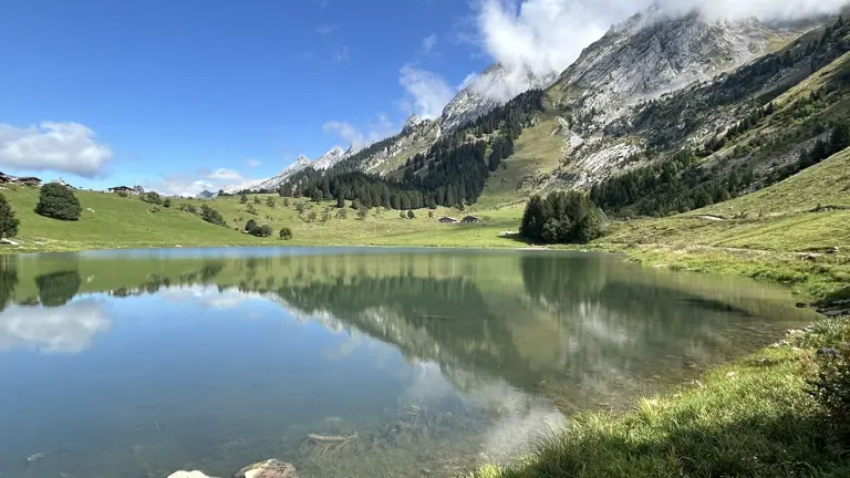 A scenic view of a landscape