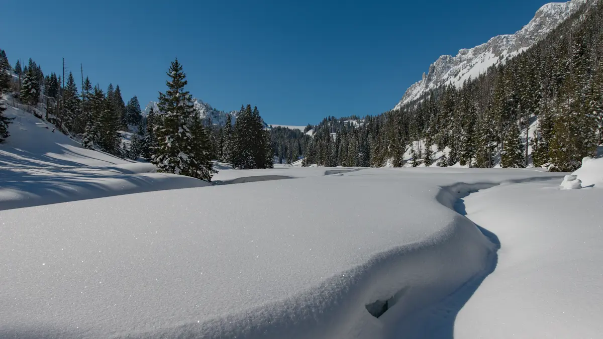 Nature Park Diemtigtal Menigboden Winter Landscape Snow Trees Mountains©Martin Wymann