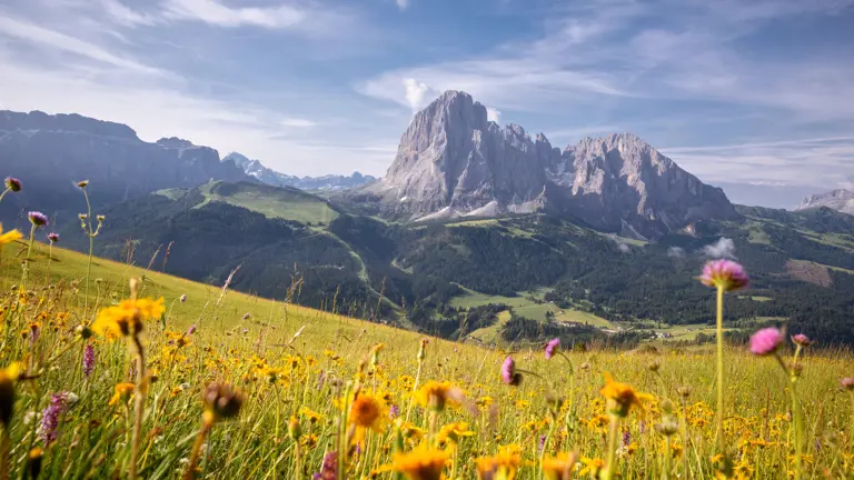 A scenic view of a landscape