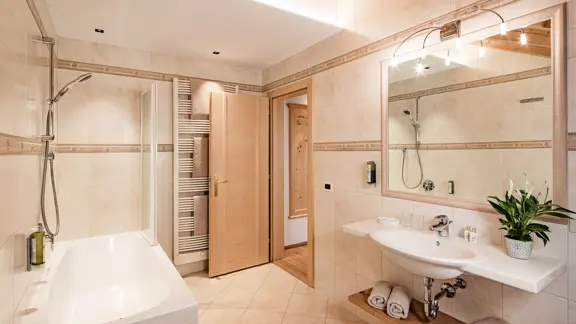 Standard room bathroom