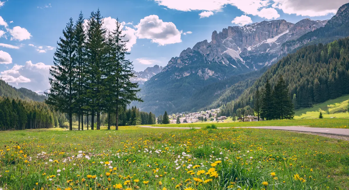 Wildflowers and mountains, Dolomites, Summer Walking Holidays, Canazei