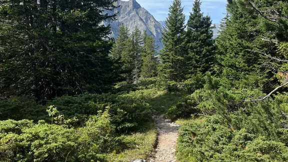 Wengen walk from Eiger Gletscher to Wengernalp