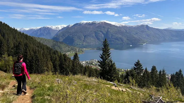 A scenic view of a landscape