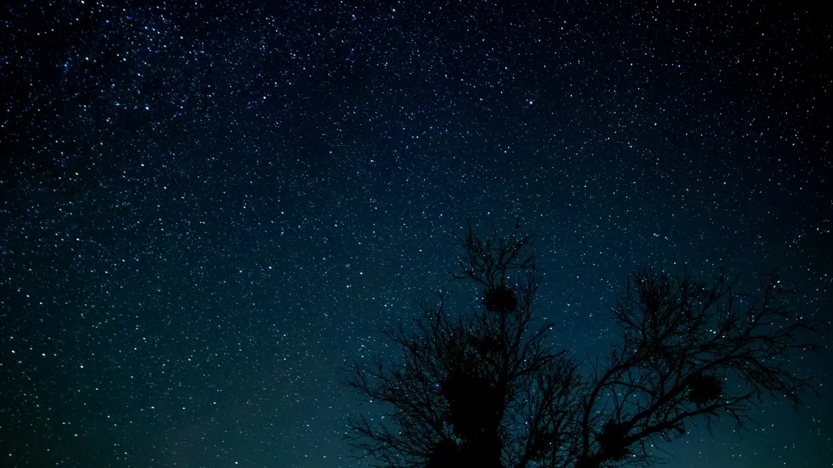 Texas Night Sky