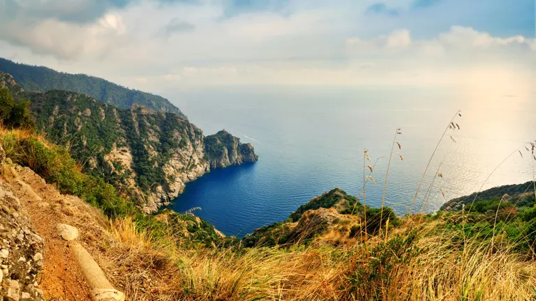 A scenic view of a landscape
