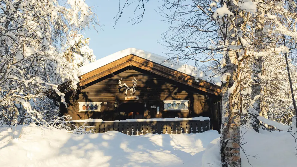 Cabin Kongsgaarden