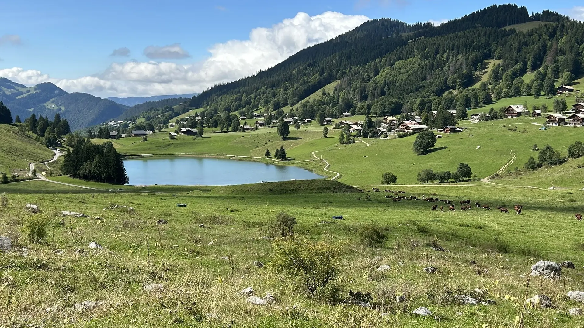 Hero Banner Background Video or Image