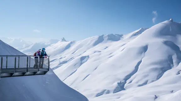 Panoramic Experience