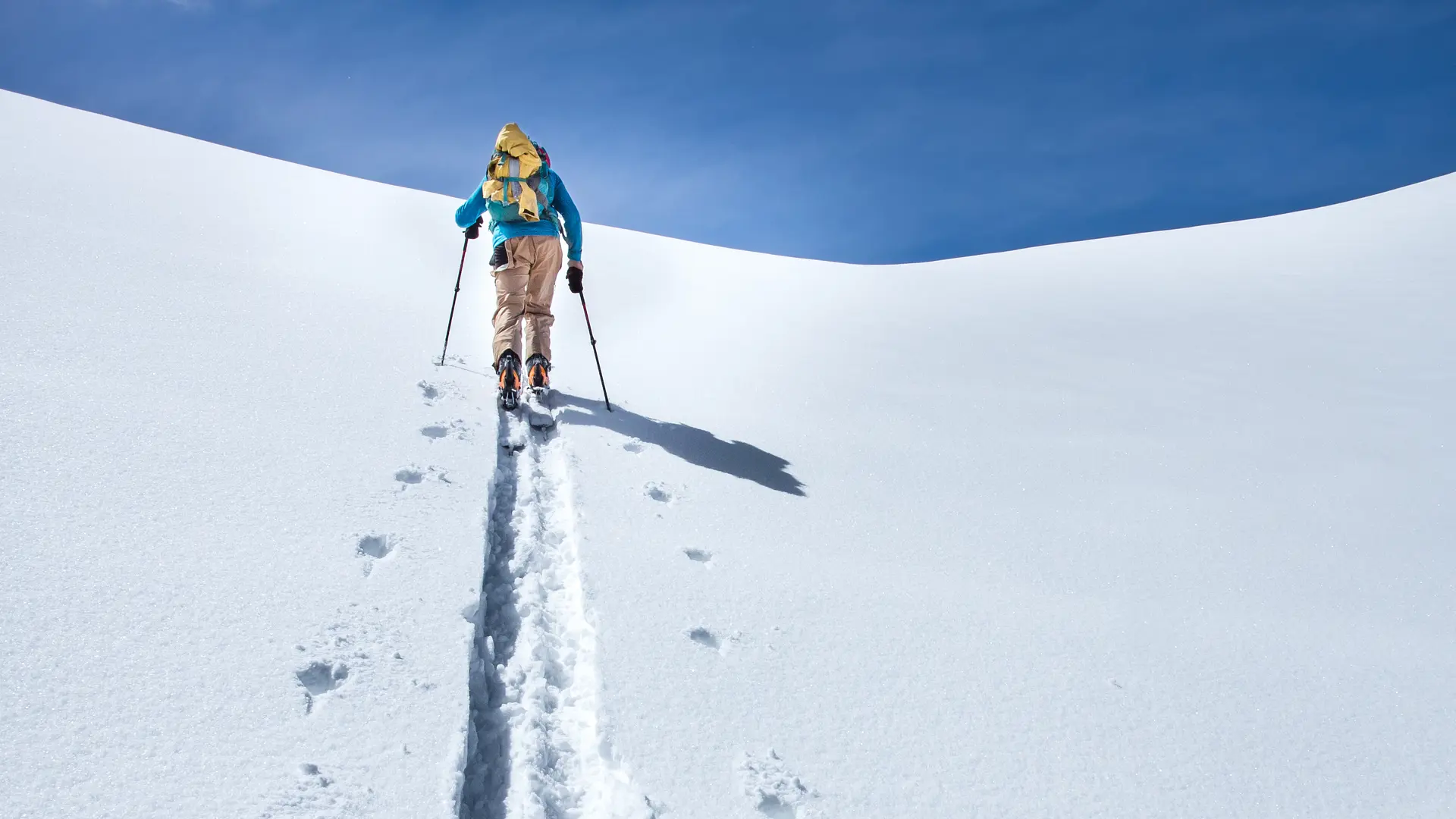 Hero Banner Background Video or Image