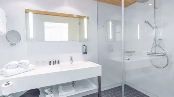 Standard room shower room