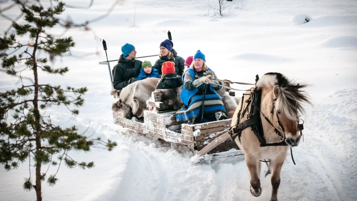 Geilo Norway Horse Drawn Sleigh